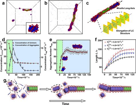 Growth Of Cylindrical Micelles Via Lcdsa A B Morphologies Of