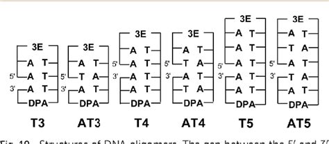 Figure 1 From Charge Transfer Dynamics In DNA Revealed By Time Resolved