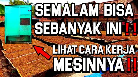 Review Mesin Perajang Tembakau Modern Youtube