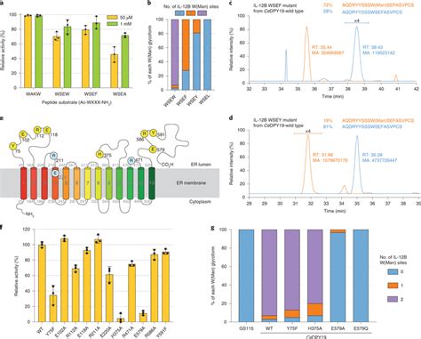 Mutagenesis Of Cedpy19 And Its Substrates A The Relative Activity Of