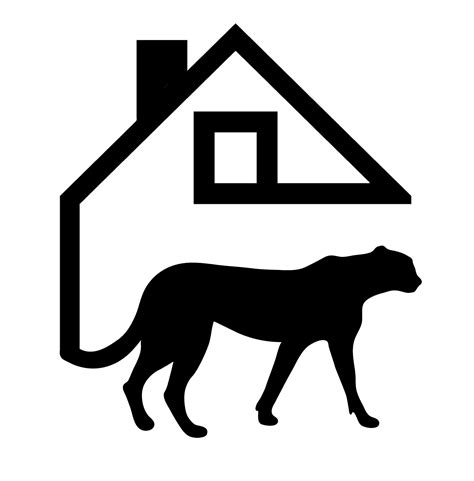 APA Continuing Education Credit — Cheetah House