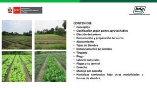 Produccion De Hortalizas Loreto Ppt