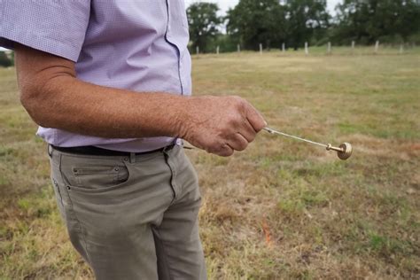 The bizarre history of water dowsing