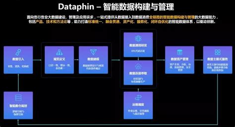 一次关于数据中台建设的售前交流和方案准备思考 龙石数据