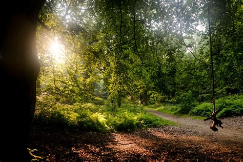 Krabbesholm Skov Udinaturen Dk