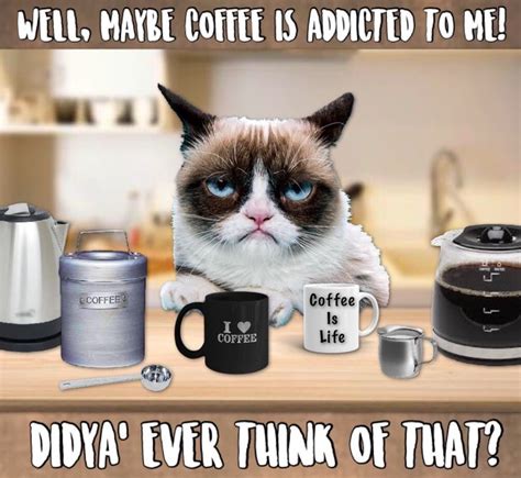 Grumpy Cat Coffee ☕️ Grumpy Cat Humor Coffee Quotes Funny Grumpy Cat Quotes