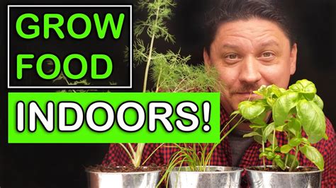 Growing Food Indoors – The Ultimate Guide – Planting A-Z