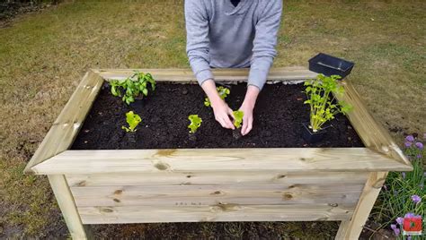 Comment fabriquer un potager surélevé C est fait maison