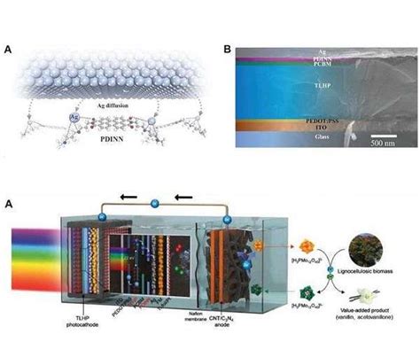 Novel Cathode Interlayer Boosts Efficiency Of Tin Lead Perovskite Photo