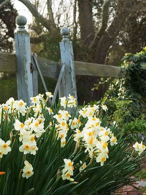 33 Garden Fence Ideas Adorned With Stunning Flowers