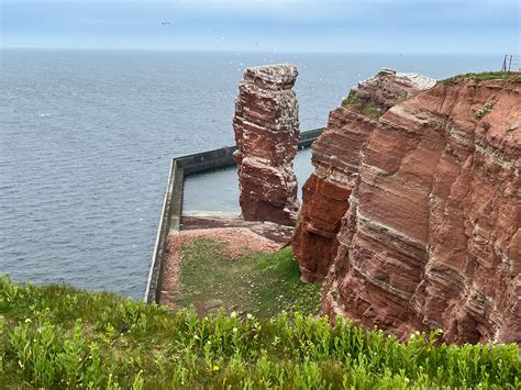 2022 05 Helgoland Flickr