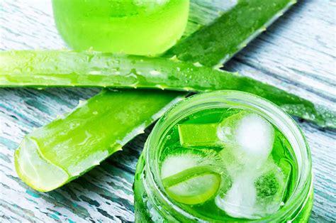 Descubre El Poder Del Aloe Vera Y Sus Beneficios Aloe Vera Saludable