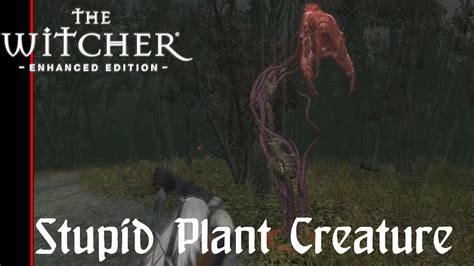 The Witcher Enhanced Edition Stupid Plant Creatures Episode 17