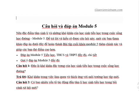 C I M T M Sinh L V Nh Ng Kh Kh N C A H C Sinh Ti U H C Trong Cu C