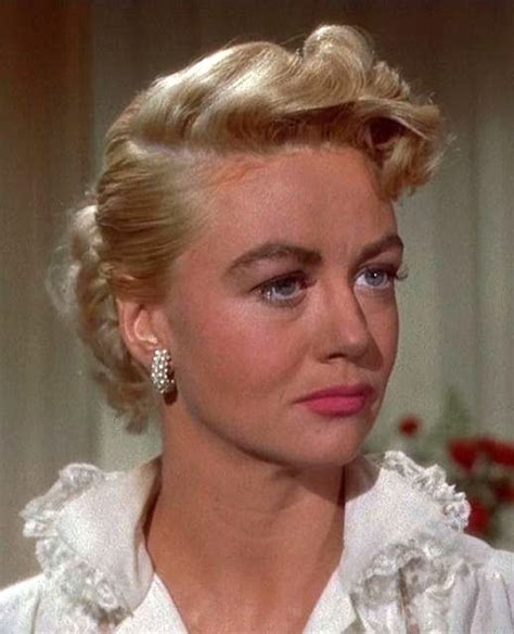 Dorothy Malone Hollywood Stars Dorothy Old Hollywood Stars