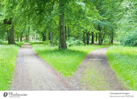 Weggabelung Im Wald Ein Lizenzfreies Stock Foto Von Photocase