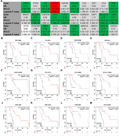 Figure From Bioinformatic Analysis Shows The Correlation Of Hsa Circ