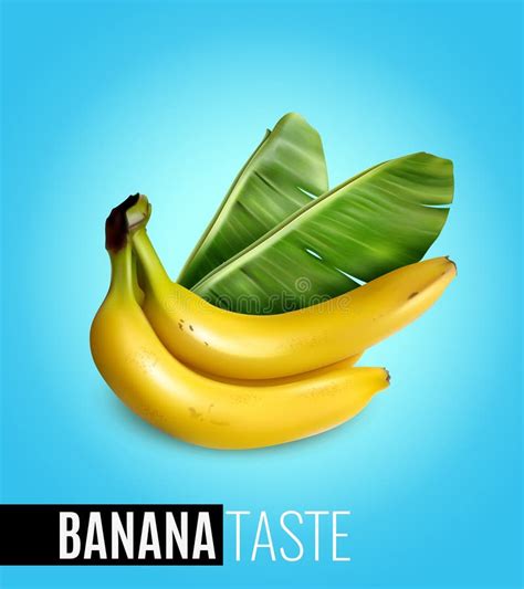 Banana Realistic Poster Stock Vector Illustration Of Food 135914018