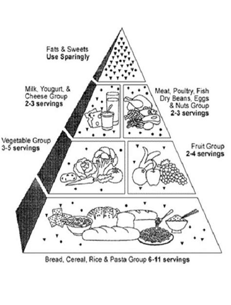 Printable Copy Of Food Pyramid