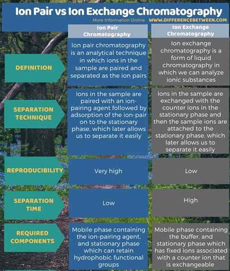 Diferencia Entre Par De Iones Y Cromatograf A De Intercambio I Nico