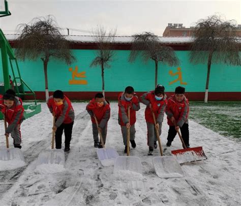 【相约冬奥—扛红旗、当先锋】沽源县组织开展清雪志愿服务行动 澎湃号·政务 澎湃新闻 The Paper