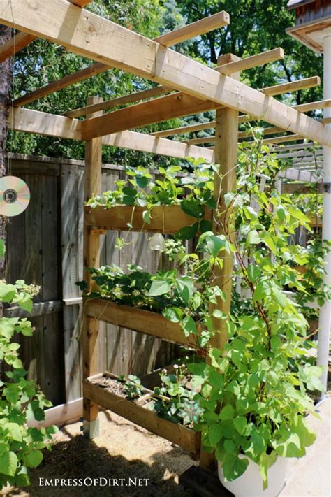 20+ Arbor, Trellis, & Obelisks Ideas | Empress of Dirt