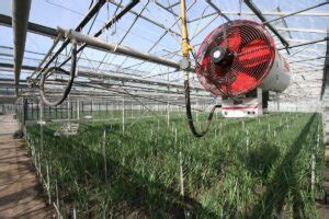 5 Best Solar Powered Greenhouse Heaters - Energy Theory