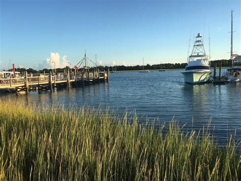 Collard Patch: Beaufort, North Carolina