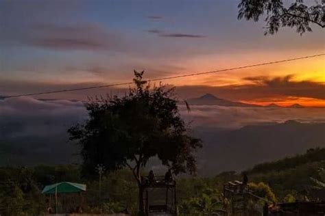 Mengenal Pangangonan Hill Wisata Alam Terbaru Di Tasikmalaya Bak Surga