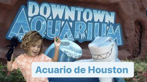 Supermathi Visitando El Acuario De Houston Youtube