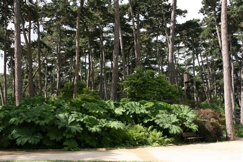 Paisatges I Jardins Landscapes And Gardens Parc Floral De Paris France