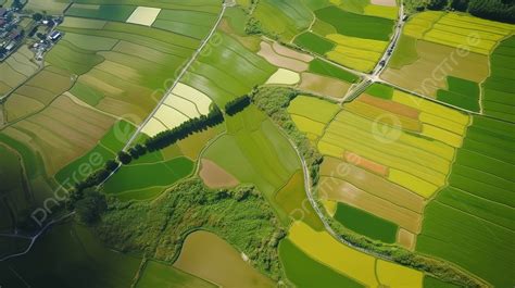 An Aerial View Of Japanese Rice Fields Background, A Birdseye View Of ...