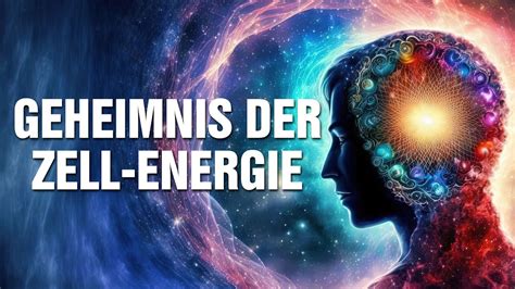 Geheimnis Der Zell Energie Wie Durch Aktivierung Der Durchblutung