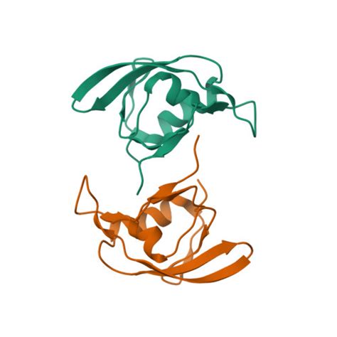 Rcsb Pdb W Crystal Structure Of The Pdz C Domain Fragment Of