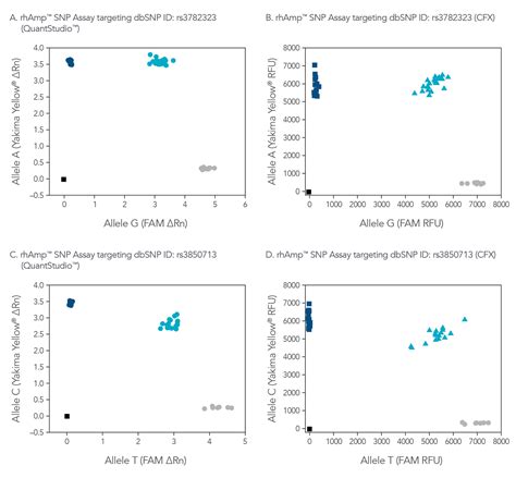 Rhamp Snp Assays