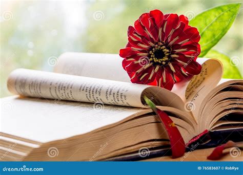 Open Bible And Flower Stock Image Image Of Summer Spring 76583607