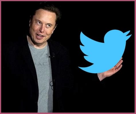 Elon Musk Finally Buys Twitter And Fires 3 Of Its Top Executives