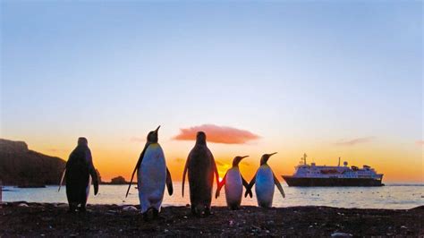 Meet Lindblad Expeditions – Chris Cruises