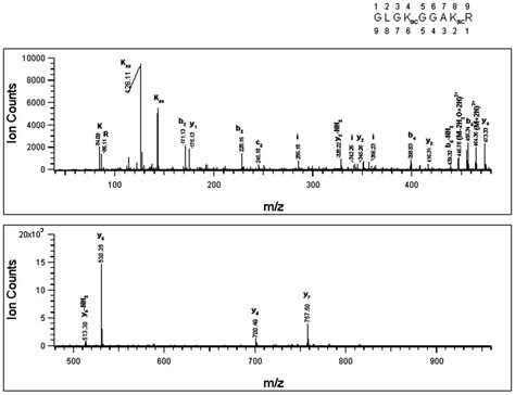 Nano Esi Ms Ms Spectrum Of Precursor Ion At Da Interpretation