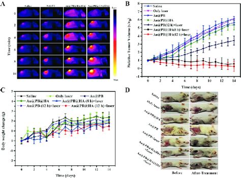 A In Vivo IR Thermal Images Of 4T1 Tumor Bearing Mice Administrated