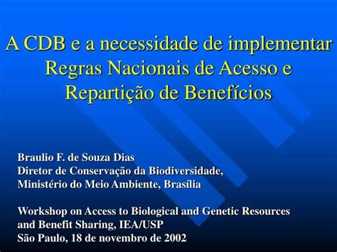 PPT A CDB E A Necessidade De Implementar Regras Nacionais De Acesso E