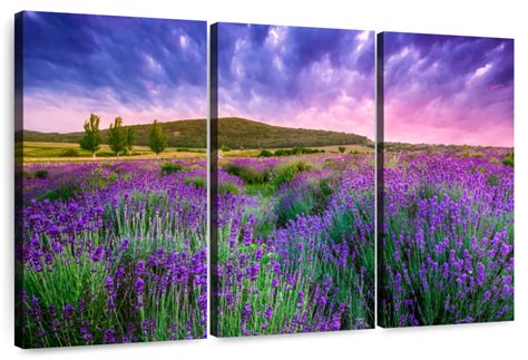 Tihany Lavender Fields Wall Art | Photography