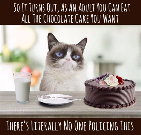 Grumpy Cat Says Eat All The Cake You Want | Grumpy cat, Grumpy cat ...