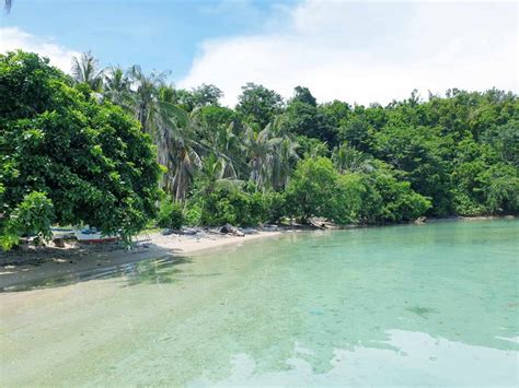 1 Hectare Beach Property For Sale In Boayan Island San Vicente Palawan