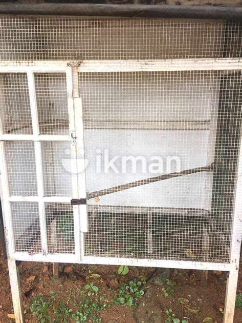 Cocktail Birds Cage For Sale In Homagama Ikman