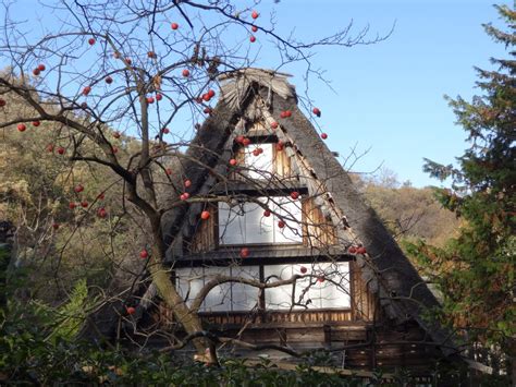 日本民家園 遊園電子工房ブログ 枡形山の麓から