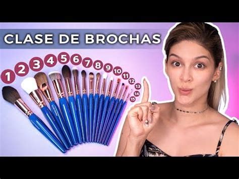 Pinceles de maquillaje profesional descubre su función y cómo utilizarlos