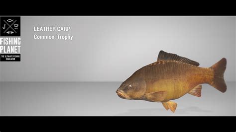 Fishing Planet Sander Baggersee Lake Trophy Leather Carp Bottom