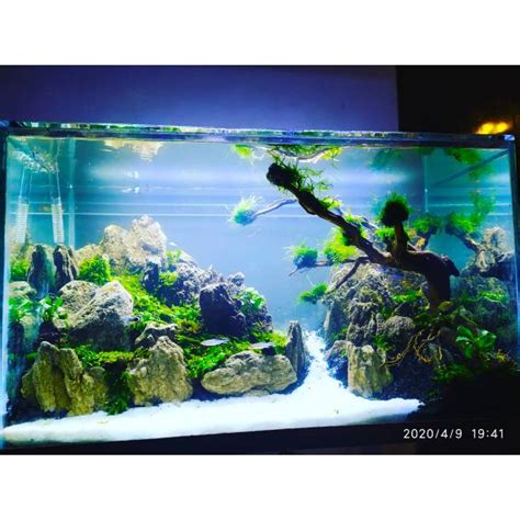 Jual Jasa Pembuatan Aquascape Tema Gunung Shopee Indonesia