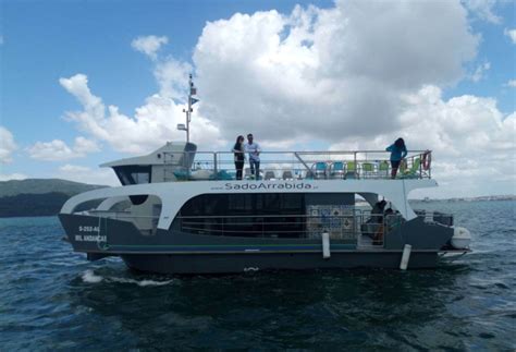 Observa O De Golfinhos Passeio De Barco Rio Sado Sadoarr Bida